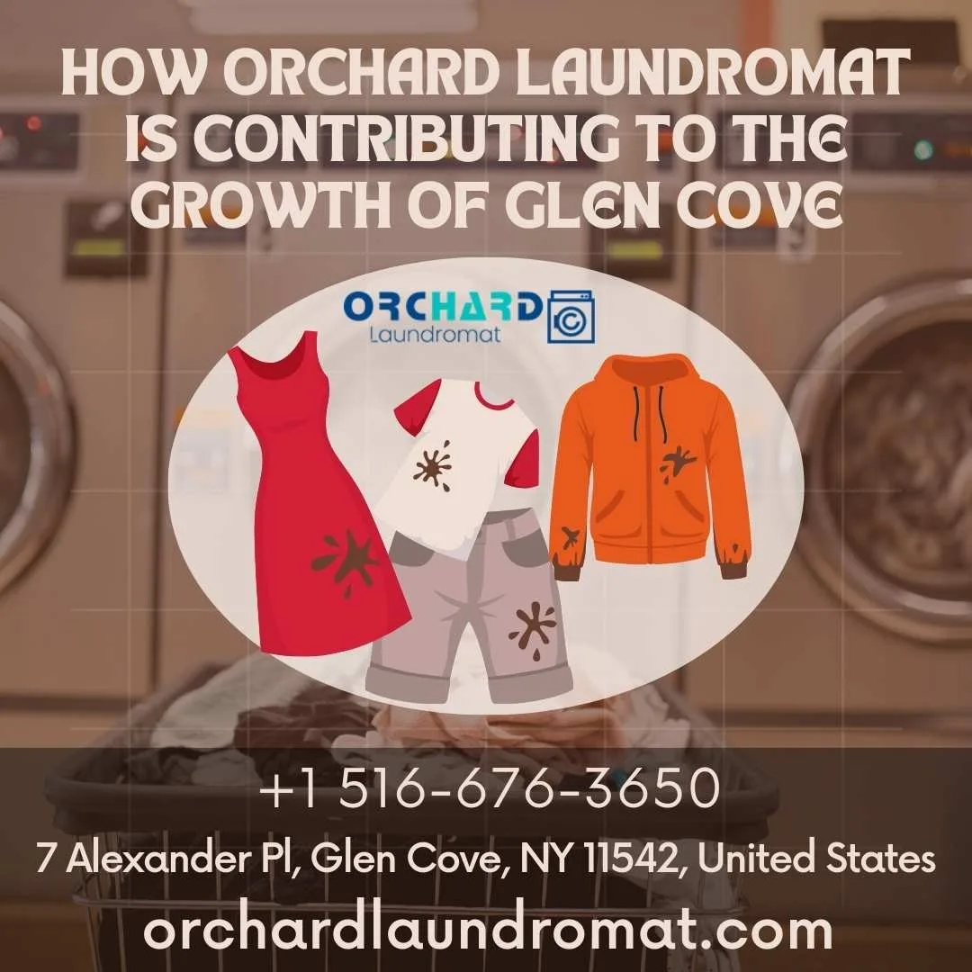 Laundromat Economic Growth