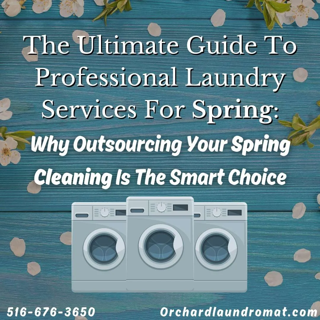 Professional Laundry Services
